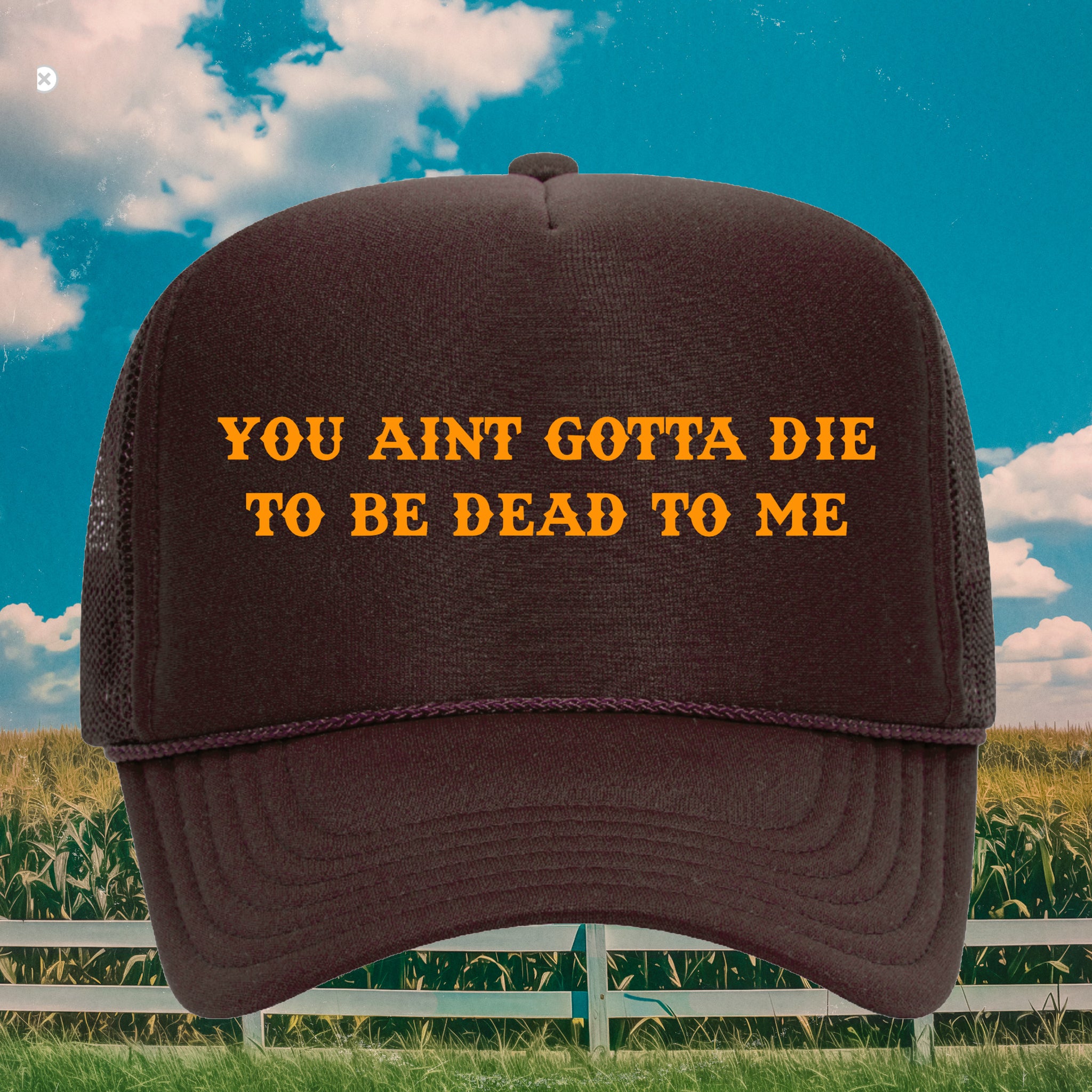 Dead To Me Hat