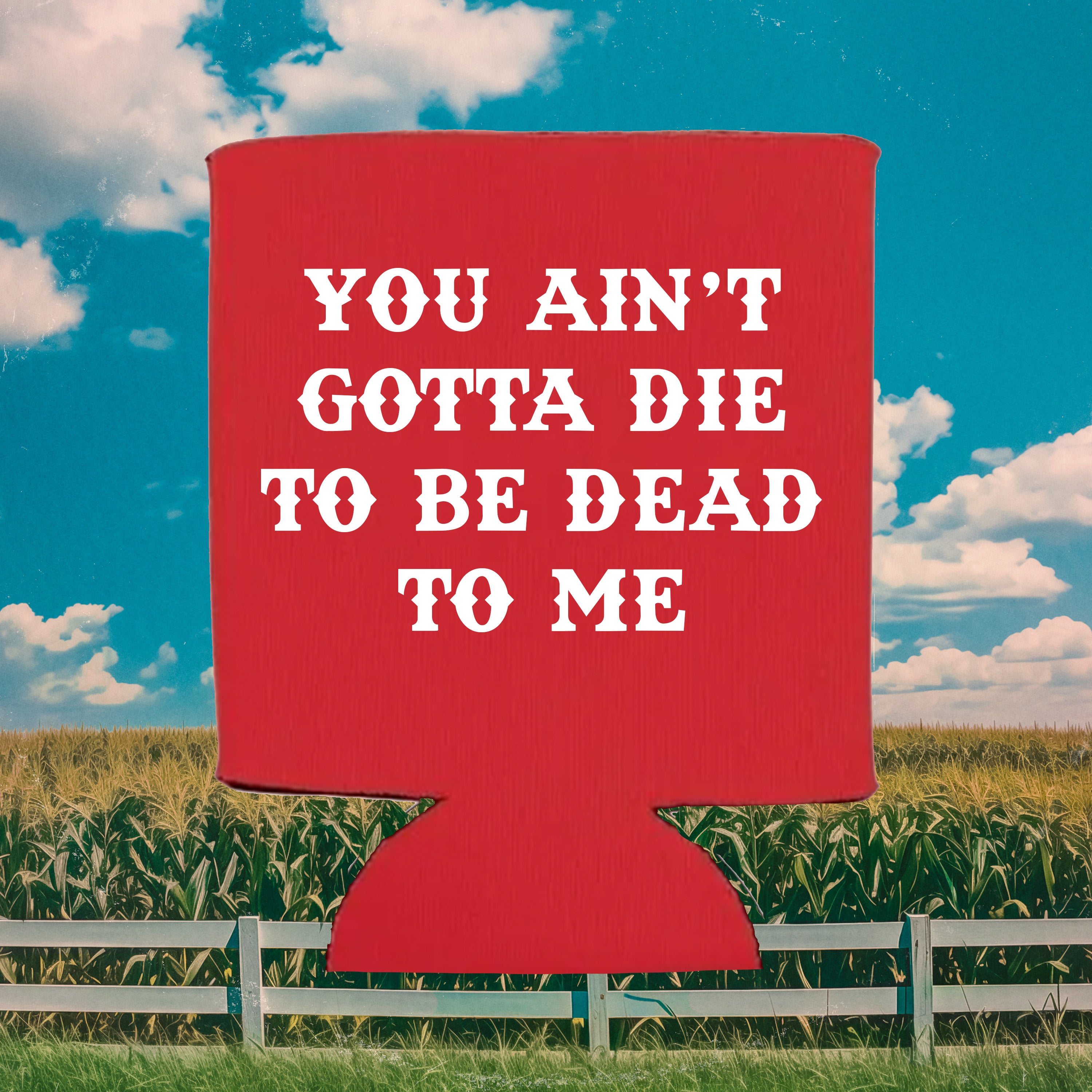 Cooler If You Did Koozie