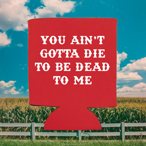 Cooler If You Did Koozie